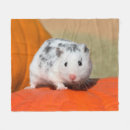 Search for hamster blankets Funny