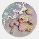 Search for scallop shell stickers Sand
