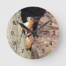 Search for red squirrel art Nature