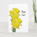 Search for daffodil thank you cards Thanks