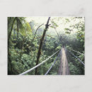 Search for monteverde postcards Rainforest