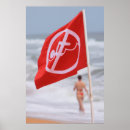 Search for florida surfing posters Travel