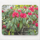 Search for rhododendron electronics Nature