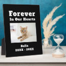 Search for unique pet memorials Cat
