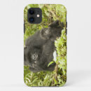 Search for gorilla iphone cases Wildlife