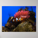 Search for nemo art Water
