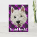 Search for westie cards Funny