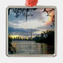 Search for toronto christmas tree decorations Skyline