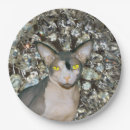 Search for vintage cat plates Kitty