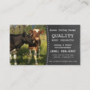 Search for cattle business cards Livestock