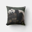Search for giant panda cushions Bamboo