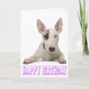 Search for dog cards Puppy