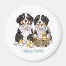 Search for berners magnets Puppy