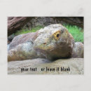 Search for komodo postcards Dragons