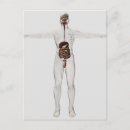 Search for digestion postcards Gut