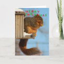 Search for red fox christmas cards Blue