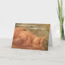 Search for plan it cards Happy