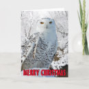 Search for snowy owl christmas cards Bird