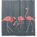 Search for pink flamingo shower curtains Retro