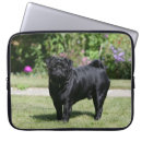 Search for looking at camera cases Alert