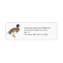 Search for mallard duck return address labels Bird