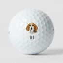 Search for beagle golf equipment Golfer