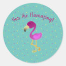 Search for flamingo cartoon stickers Bird