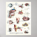 Search for nose posters Eye