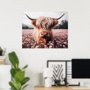 Search for scottish highland posters Cow