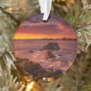 Search for carmel california christmas tree decorations Coastline