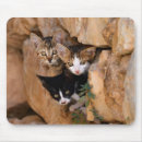 Search for kitty love mousepads Sweet