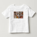 Search for rolf nussbaumer tshirts National park