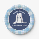 Search for blue gingham plates First birthday