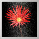 Search for red daisy posters Daisies