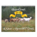Search for goat calendars Cute animals