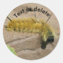 Search for caterpillars stickers Animal