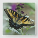 Search for butterfly clock clocks Yellow