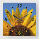 Search for sunflower clocks Black