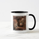 Search for rainforest animals mugs Monkey