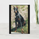 Search for pincher cards Dog