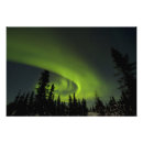 Search for aurora borealis posters Silhouette