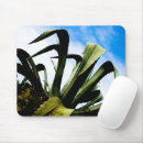 Search for giant mousepads Photograph