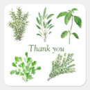 Search for mint herb stickers Rosemary