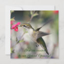 Search for for birders invitations Hummingbird