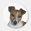 Search for jacks magnets Russell
