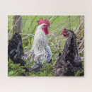 Search for rooster puzzles Feathers