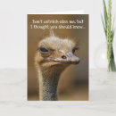 Search for bury cards Funny