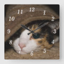 Search for calico kitten art Pet