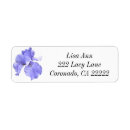 Search for purple iris return address labels Irises