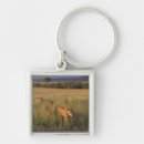 Search for mammals key rings Lion